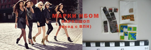 крисы Туринск