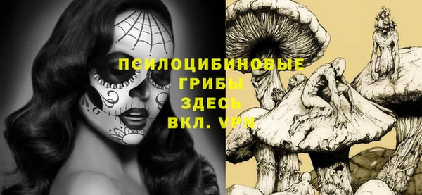 крисы Туринск