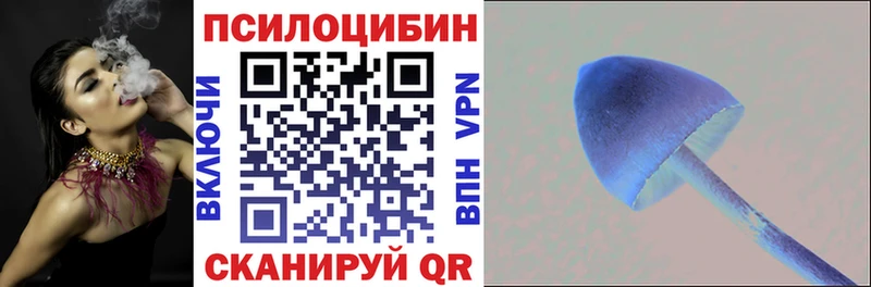 Купить закладки  Щучье  Псилоцибиновые грибы Psilocybine cubensis 